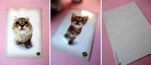 Conjunto de dois postais com uns senhores gatos, para enviar aos amigos ou para emoldurar : )